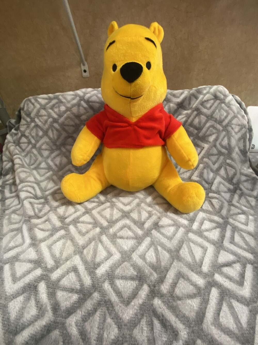 Disney Winnie The Pooh Plush Stuffed Animal Toy Red Shirt